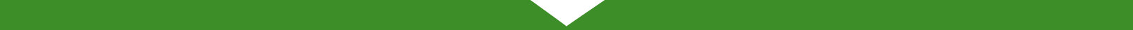 Bottom Arrow